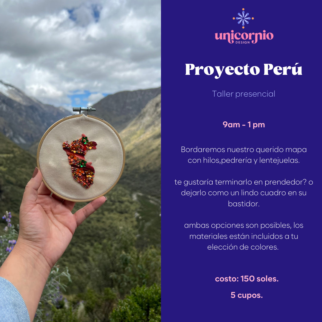 Proyecto Perú - Unicornio Design